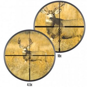 rifle scope magnification